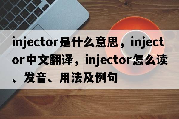 injector是什么意思，injector中文翻譯，injector怎么讀、發(fā)音、用法及例句