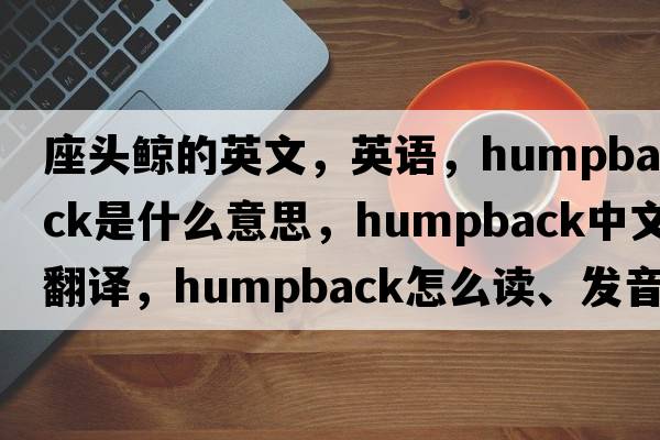 座頭鯨的英文，英語(yǔ)，humpback是什么意思，humpback中文翻譯，humpback怎么讀、發(fā)音、用法及例句