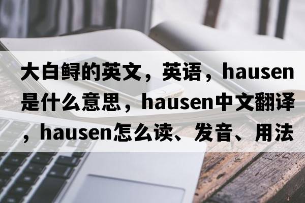 大白鱘的英文，英語(yǔ)，hausen是什么意思，hausen中文翻譯，hausen怎么讀、發(fā)音、用法及例句