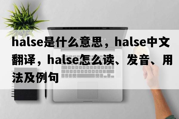 Halse是什么意思，Halse中文翻譯，Halse怎么讀、發(fā)音、用法及例句