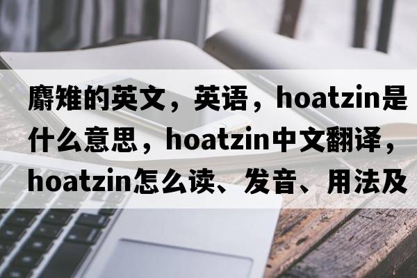 麝雉的英文，英語(yǔ)，hoatzin是什么意思，hoatzin中文翻譯，hoatzin怎么讀、發(fā)音、用法及例句