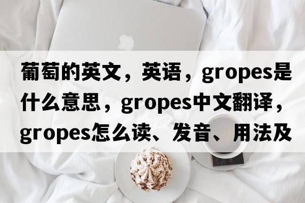 葡萄的英文，英語(yǔ)，gropes是什么意思，gropes中文翻譯，gropes怎么讀、發(fā)音、用法及例句