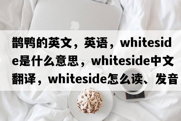 鵲鴨的英文，英語(yǔ)，Whiteside是什么意思，Whiteside中文翻譯，Whiteside怎么讀、發(fā)音、用法及例句