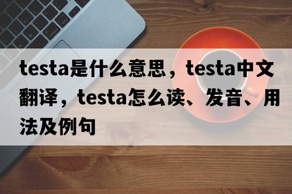 testa是什么意思，testa中文翻譯，testa怎么讀、發(fā)音、用法及例句