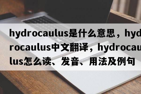hydrocaulus是什么意思，hydrocaulus中文翻譯，hydrocaulus怎么讀、發(fā)音、用法及例句