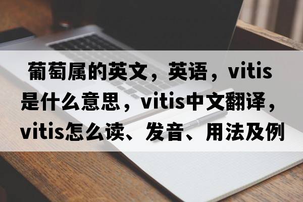  葡萄屬的英文，英語(yǔ)，Vitis是什么意思，Vitis中文翻譯，Vitis怎么讀、發(fā)音、用法及例句