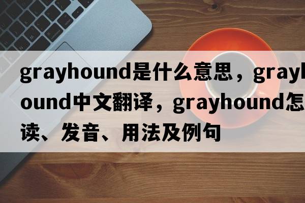 grayhound是什么意思，grayhound中文翻譯，grayhound怎么讀、發(fā)音、用法及例句