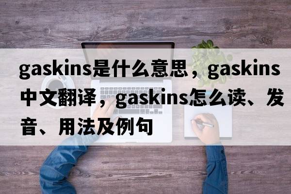 Gaskins是什么意思，Gaskins中文翻譯，Gaskins怎么讀、發(fā)音、用法及例句