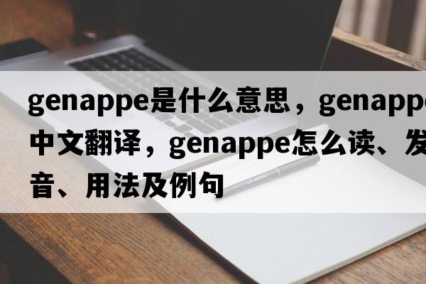 genappe是什么意思，genappe中文翻譯，genappe怎么讀、發(fā)音、用法及例句
