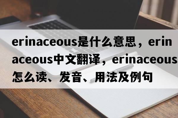 erinaceous是什么意思，erinaceous中文翻譯，erinaceous怎么讀、發(fā)音、用法及例句