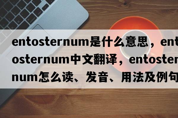 entosternum是什么意思，entosternum中文翻譯，entosternum怎么讀、發(fā)音、用法及例句