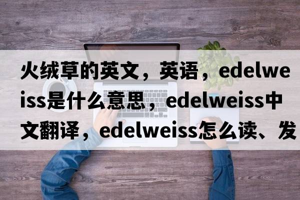 火絨草的英文，英語(yǔ)，edelweiss是什么意思，edelweiss中文翻譯，edelweiss怎么讀、發(fā)音、用法及例句