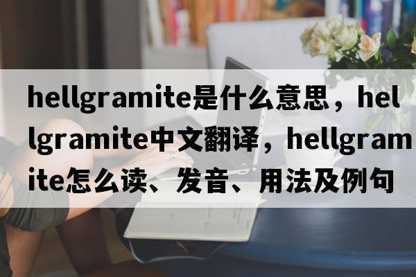 hellgramite是什么意思，hellgramite中文翻譯，hellgramite怎么讀、發(fā)音、用法及例句