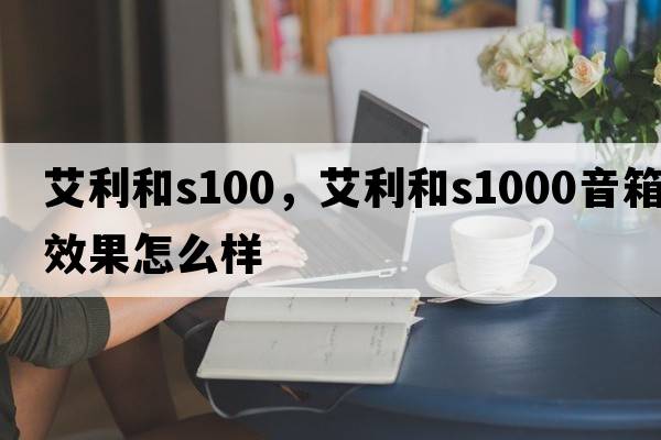 艾利和s100，艾利和s1000音箱效果怎么樣