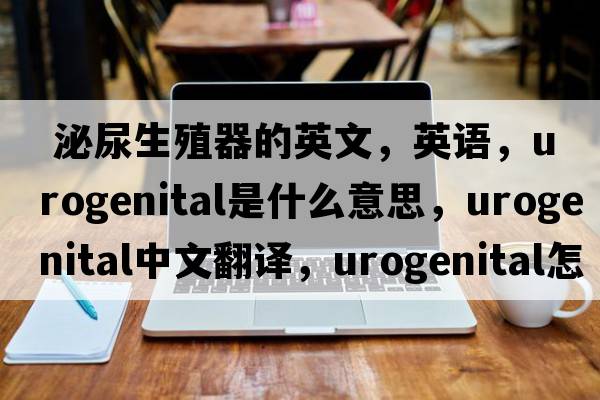  泌尿生殖器的英文，英語(yǔ)，urogenital是什么意思，urogenital中文翻譯，urogenital怎么讀、發(fā)音、用法及例句