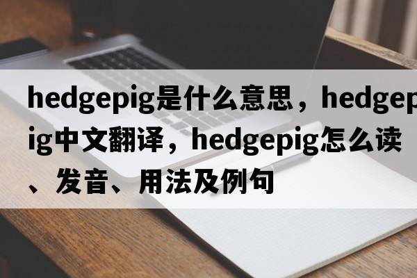 hedgepig是什么意思，hedgepig中文翻譯，hedgepig怎么讀、發(fā)音、用法及例句