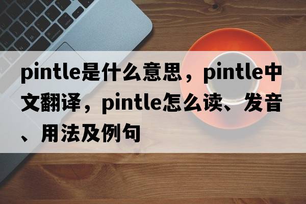 pintle是什么意思，pintle中文翻譯，pintle怎么讀、發(fā)音、用法及例句
