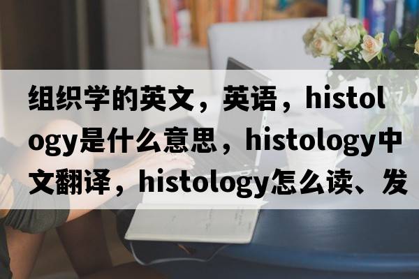 組織學(xué)的英文，英語(yǔ)，histology是什么意思，histology中文翻譯，histology怎么讀、發(fā)音、用法及例句