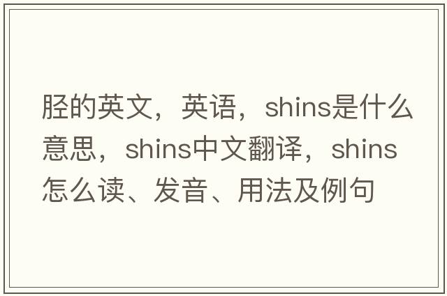 脛的英文，英語(yǔ)，shins是什么意思，shins中文翻譯，shins怎么讀、發(fā)音、用法及例句