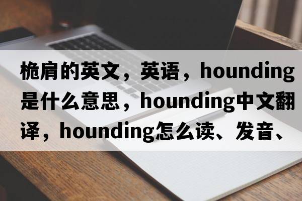 桅肩的英文，英語(yǔ)，hounding是什么意思，hounding中文翻譯，hounding怎么讀、發(fā)音、用法及例句