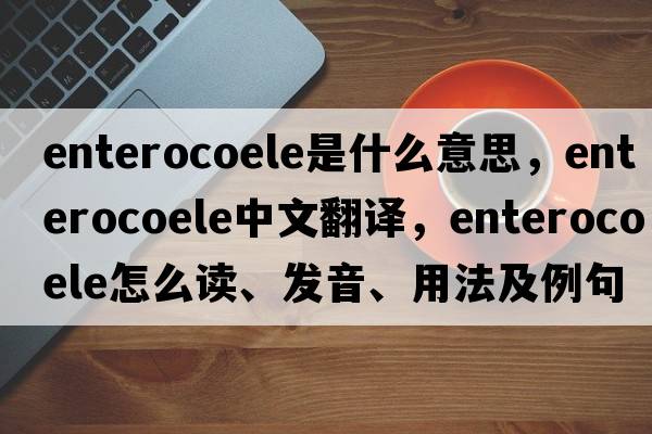 enterocoele是什么意思，enterocoele中文翻譯，enterocoele怎么讀、發(fā)音、用法及例句
