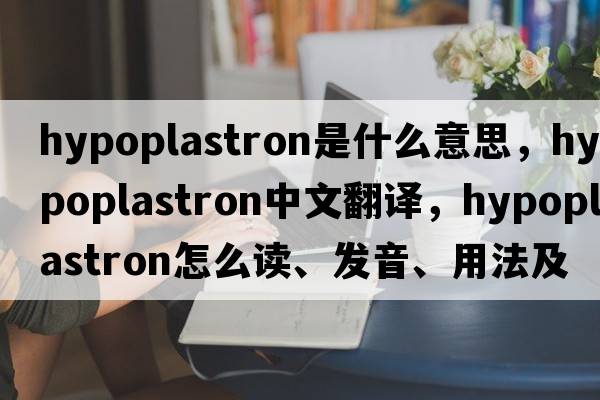 hypoplastron是什么意思，hypoplastron中文翻譯，hypoplastron怎么讀、發(fā)音、用法及例句
