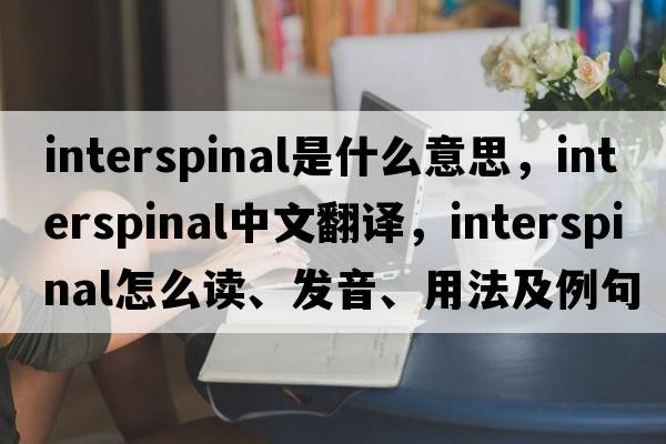 interspinal是什么意思，interspinal中文翻譯，interspinal怎么讀、發(fā)音、用法及例句