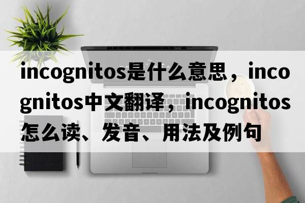 incognitos是什么意思，incognitos中文翻譯，incognitos怎么讀、發(fā)音、用法及例句
