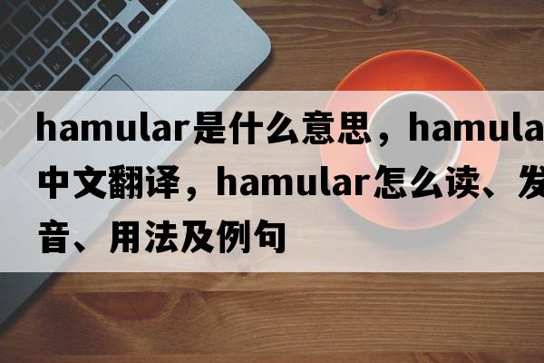hamular是什么意思，hamular中文翻譯，hamular怎么讀、發(fā)音、用法及例句