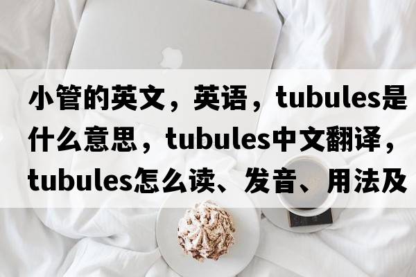 小管的英文，英語(yǔ)，Tubules是什么意思，Tubules中文翻譯，Tubules怎么讀、發(fā)音、用法及例句