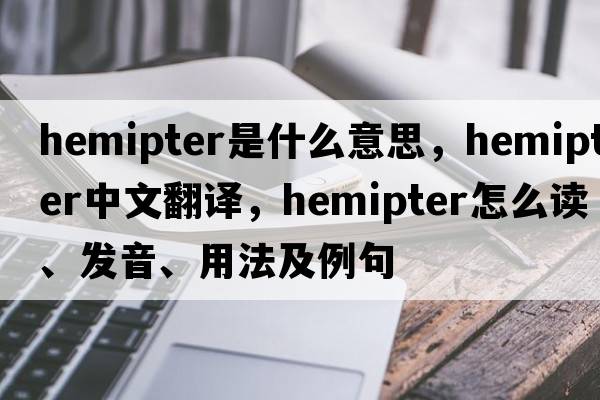 hemipter是什么意思，hemipter中文翻譯，hemipter怎么讀、發(fā)音、用法及例句