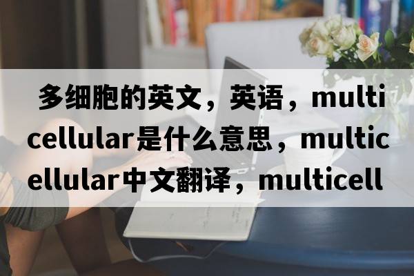  多細胞的英文，英語(yǔ)，multicellular是什么意思，multicellular中文翻譯，multicellular怎么讀、發(fā)音、用法及例句