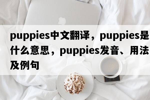 puppies中文翻譯，puppies是什么意思，puppies發(fā)音、用法及例句