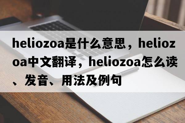 Heliozoa是什么意思，Heliozoa中文翻譯，Heliozoa怎么讀、發(fā)音、用法及例句