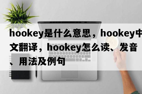 hookey是什么意思，hookey中文翻譯，hookey怎么讀、發(fā)音、用法及例句