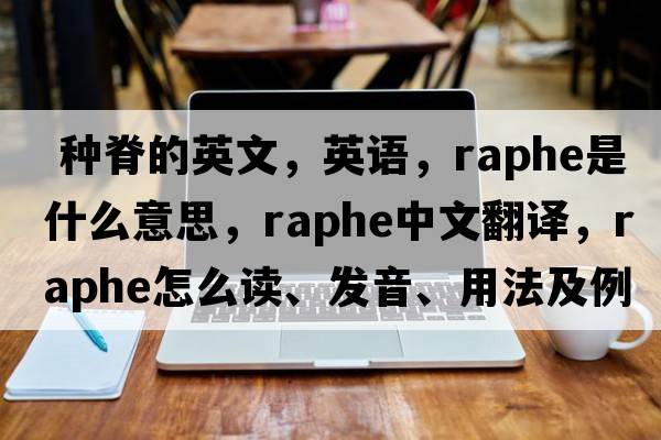  種脊的英文，英語(yǔ)，raphe是什么意思，raphe中文翻譯，raphe怎么讀、發(fā)音、用法及例句