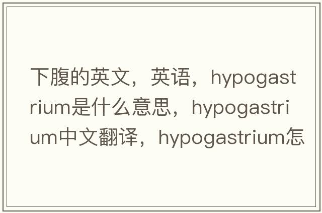 下腹的英文，英語(yǔ)，hypogastrium是什么意思，hypogastrium中文翻譯，hypogastrium怎么讀、發(fā)音、用法及例句