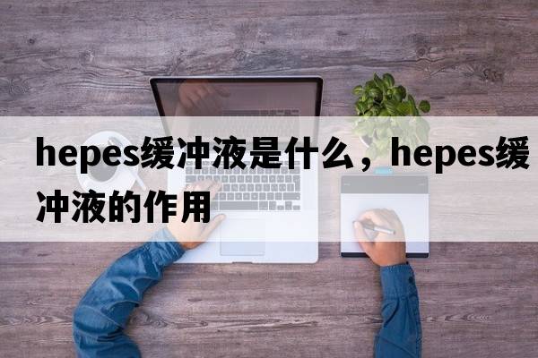hepes緩沖液是什么，hepes緩沖液的作用