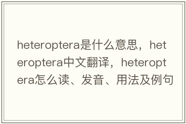 Heteroptera是什么意思，Heteroptera中文翻譯，Heteroptera怎么讀、發(fā)音、用法及例句