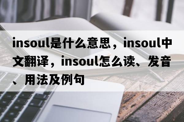 insoul是什么意思，insoul中文翻譯，insoul怎么讀、發(fā)音、用法及例句
