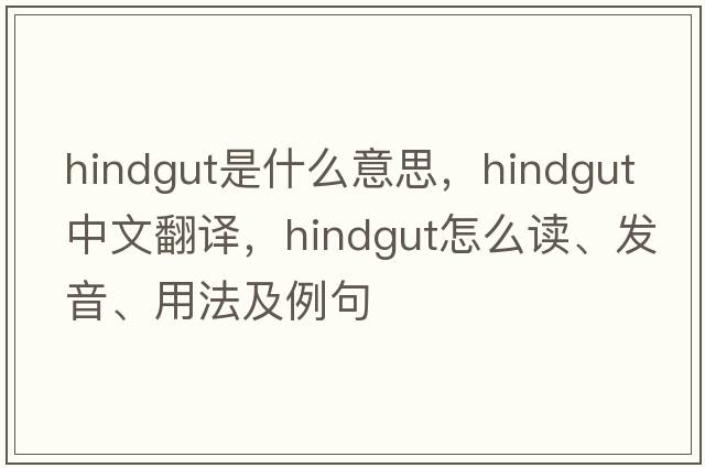 hindgut是什么意思，hindgut中文翻譯，hindgut怎么讀、發(fā)音、用法及例句