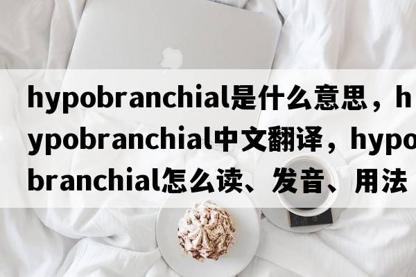 hypobranchial是什么意思，hypobranchial中文翻譯，hypobranchial怎么讀、發(fā)音、用法及例句