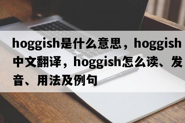 hoggish是什么意思，hoggish中文翻譯，hoggish怎么讀、發(fā)音、用法及例句