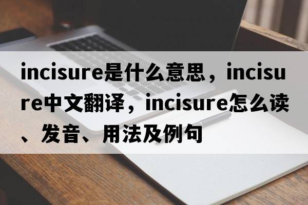 incisure是什么意思，incisure中文翻譯，incisure怎么讀、發(fā)音、用法及例句