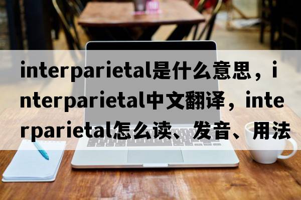 interparietal是什么意思，interparietal中文翻譯，interparietal怎么讀、發(fā)音、用法及例句