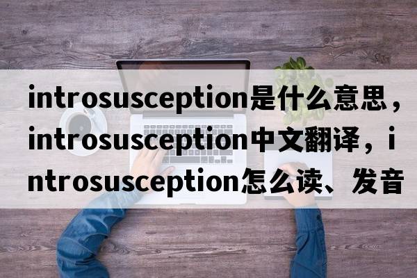 introsusception是什么意思，introsusception中文翻譯，introsusception怎么讀、發(fā)音、用法及例句