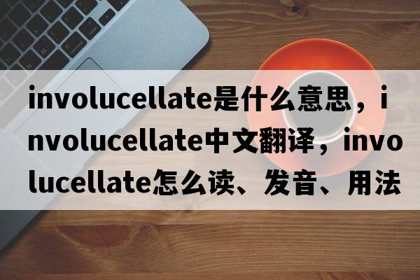 involucellate是什么意思，involucellate中文翻譯，involucellate怎么讀、發(fā)音、用法及例句