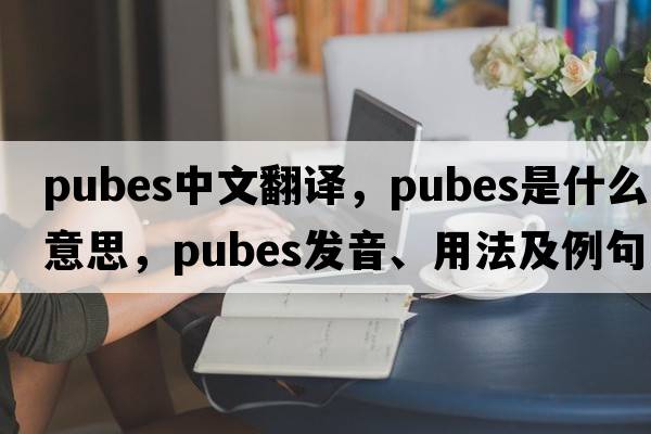 pubes中文翻譯，pubes是什么意思，pubes發(fā)音、用法及例句
