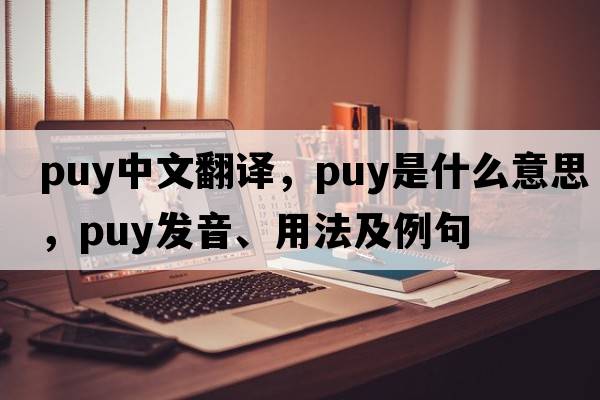 puy中文翻譯，puy是什么意思，puy發(fā)音、用法及例句