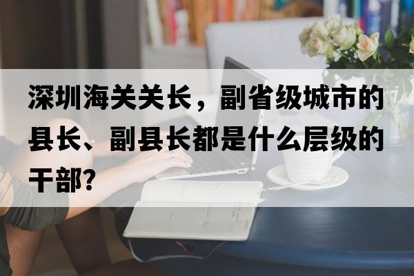 深圳海關(guān)關(guān)長(cháng)，副省級城市的縣長(cháng)、副縣長(cháng)都是什么層級的干部？